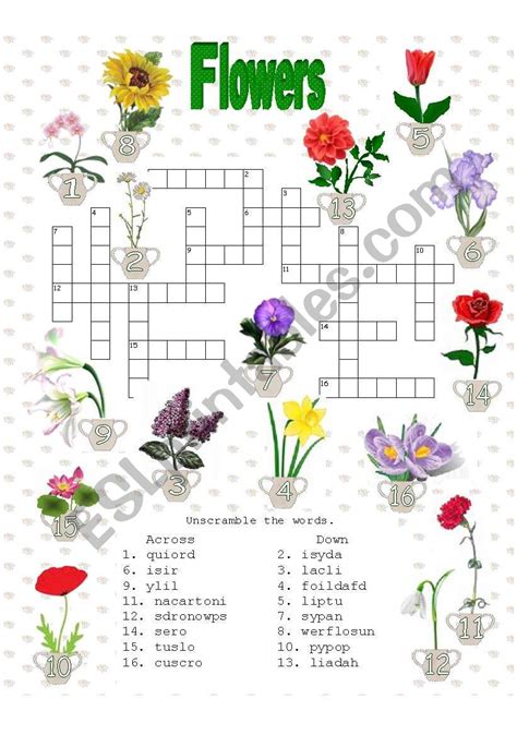 Enter the length or pattern for better results. . Flower crossword clue